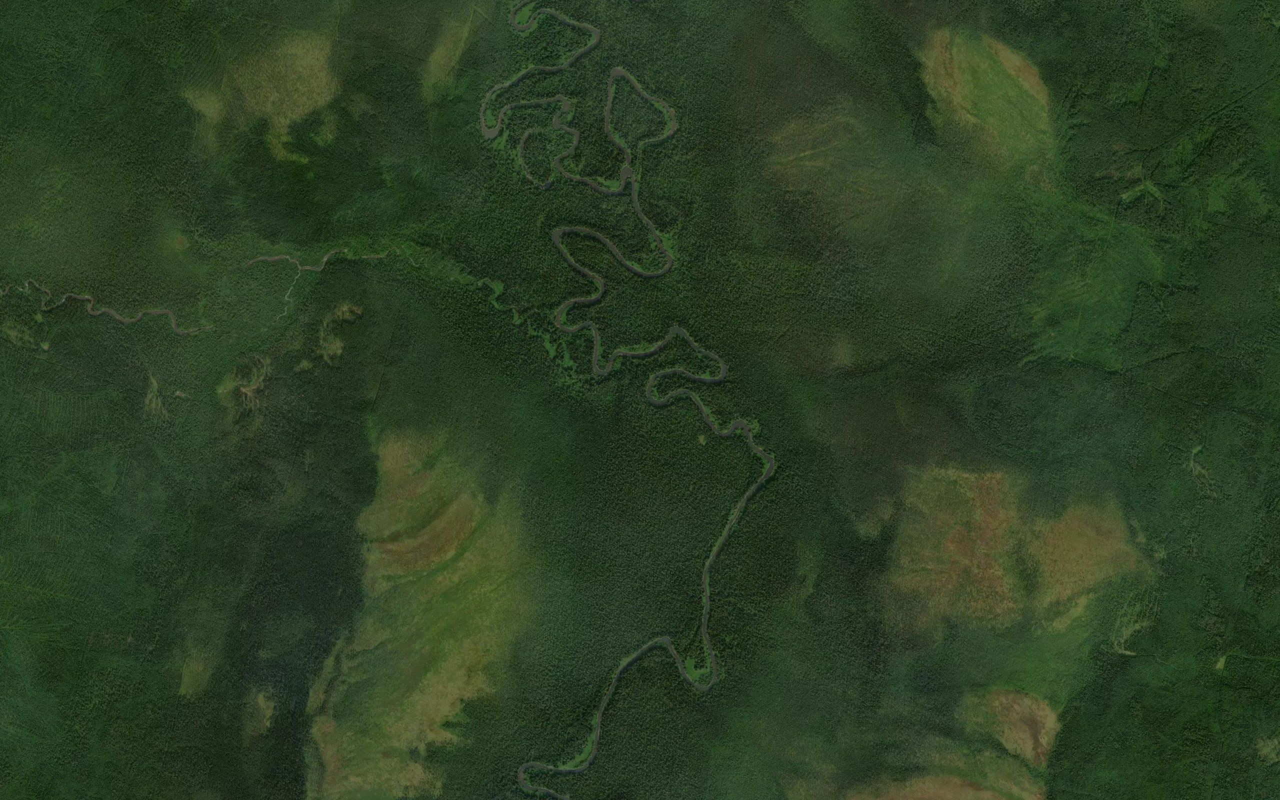 Polovinnaya