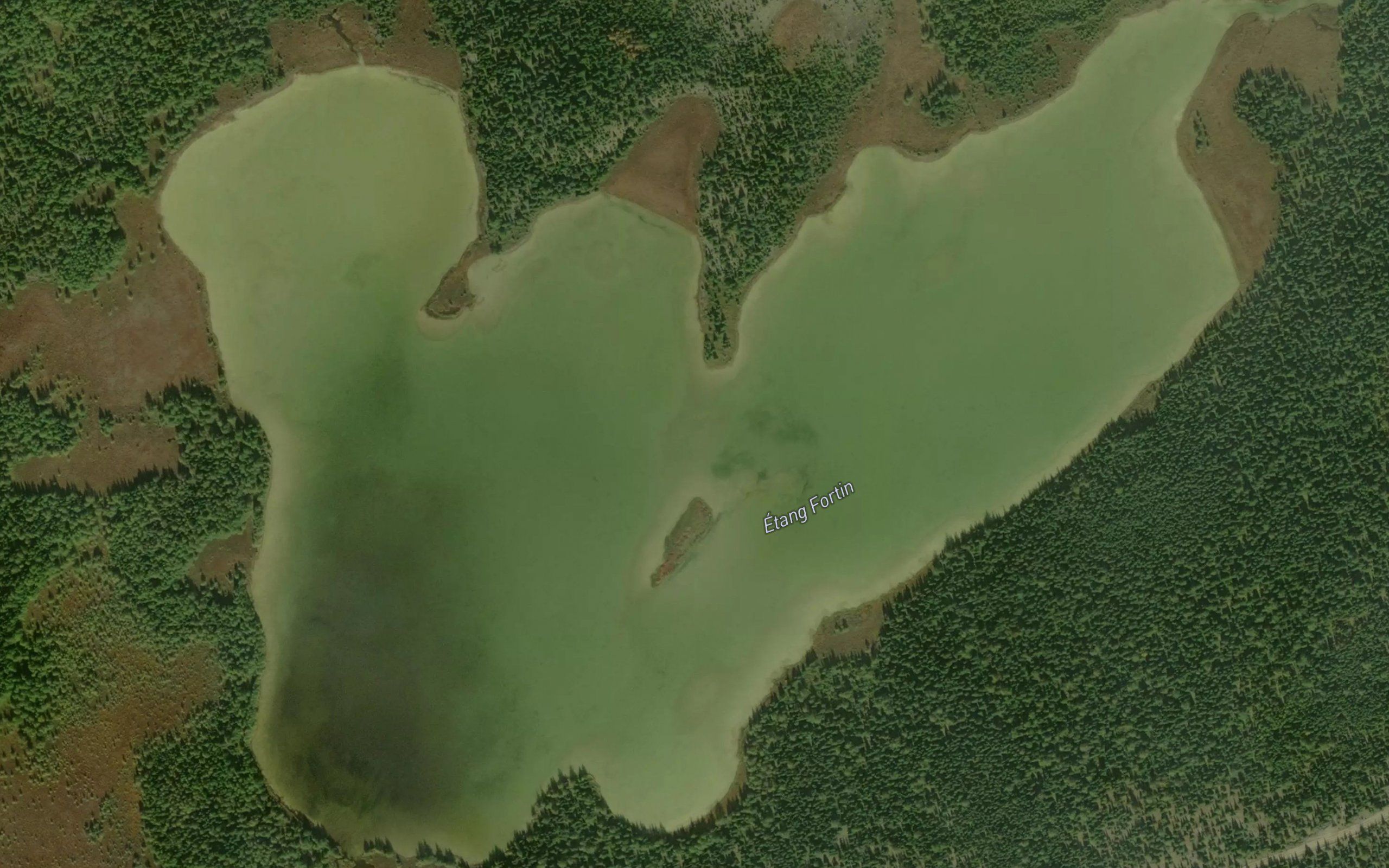 Etang Fortin