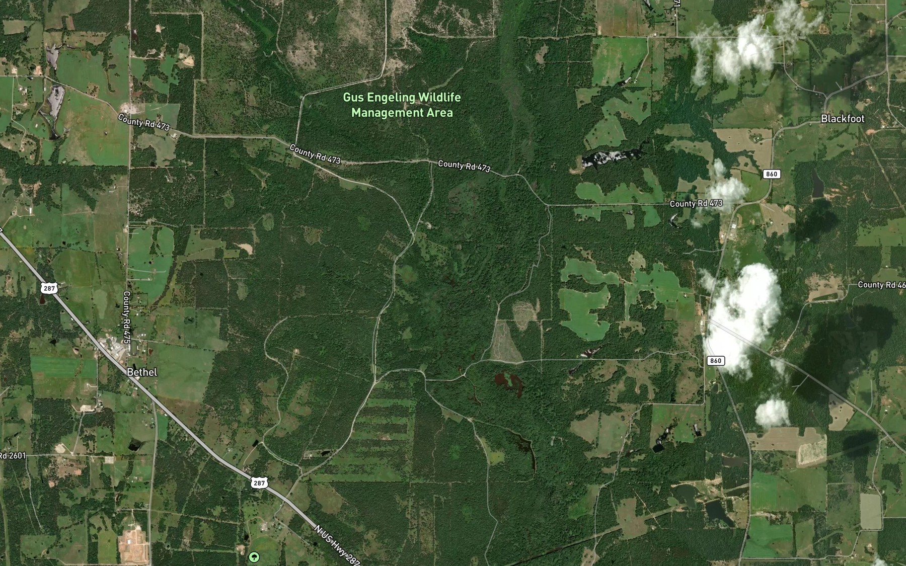 Satellite map of the Short Branch