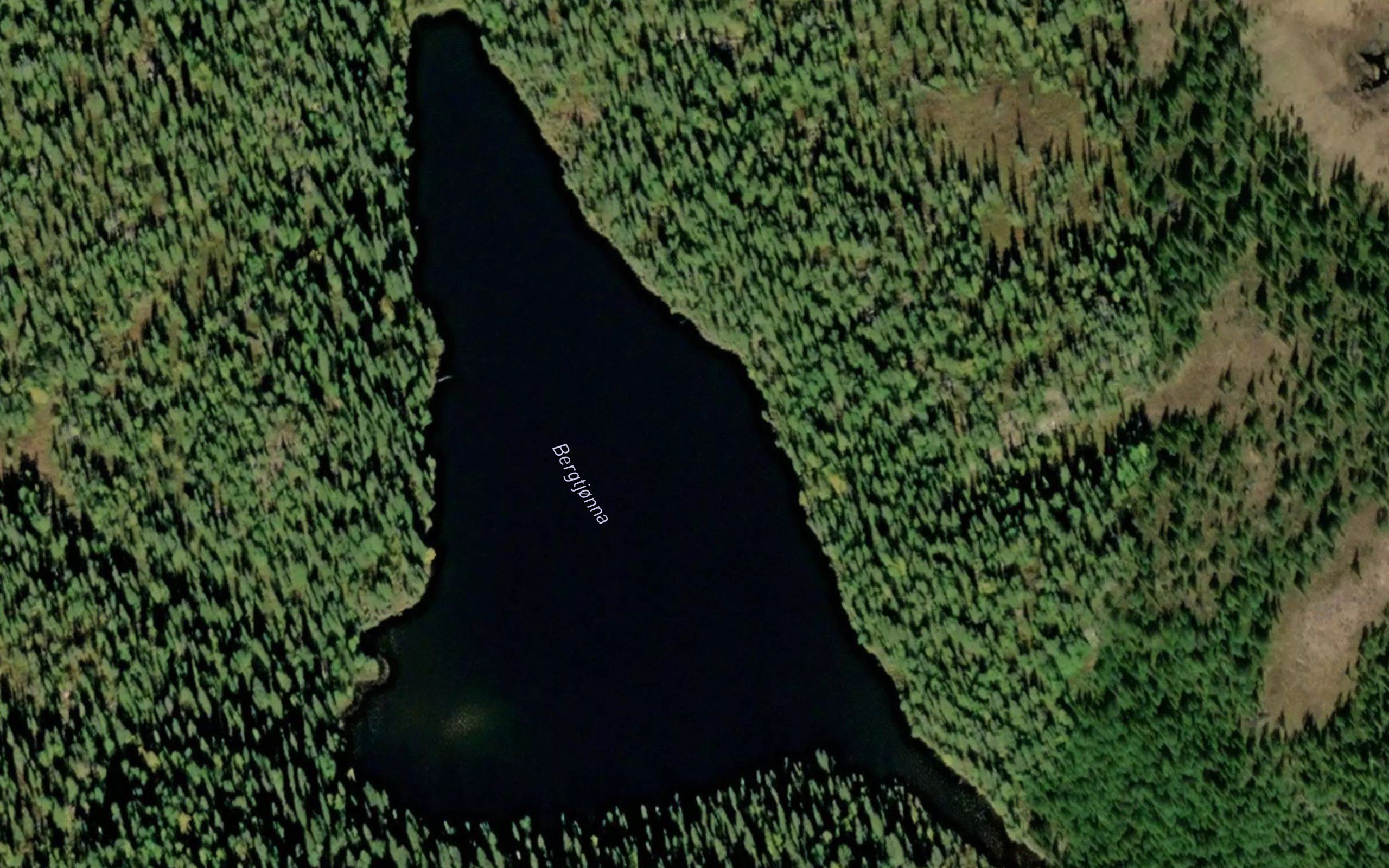 Bergtjorna