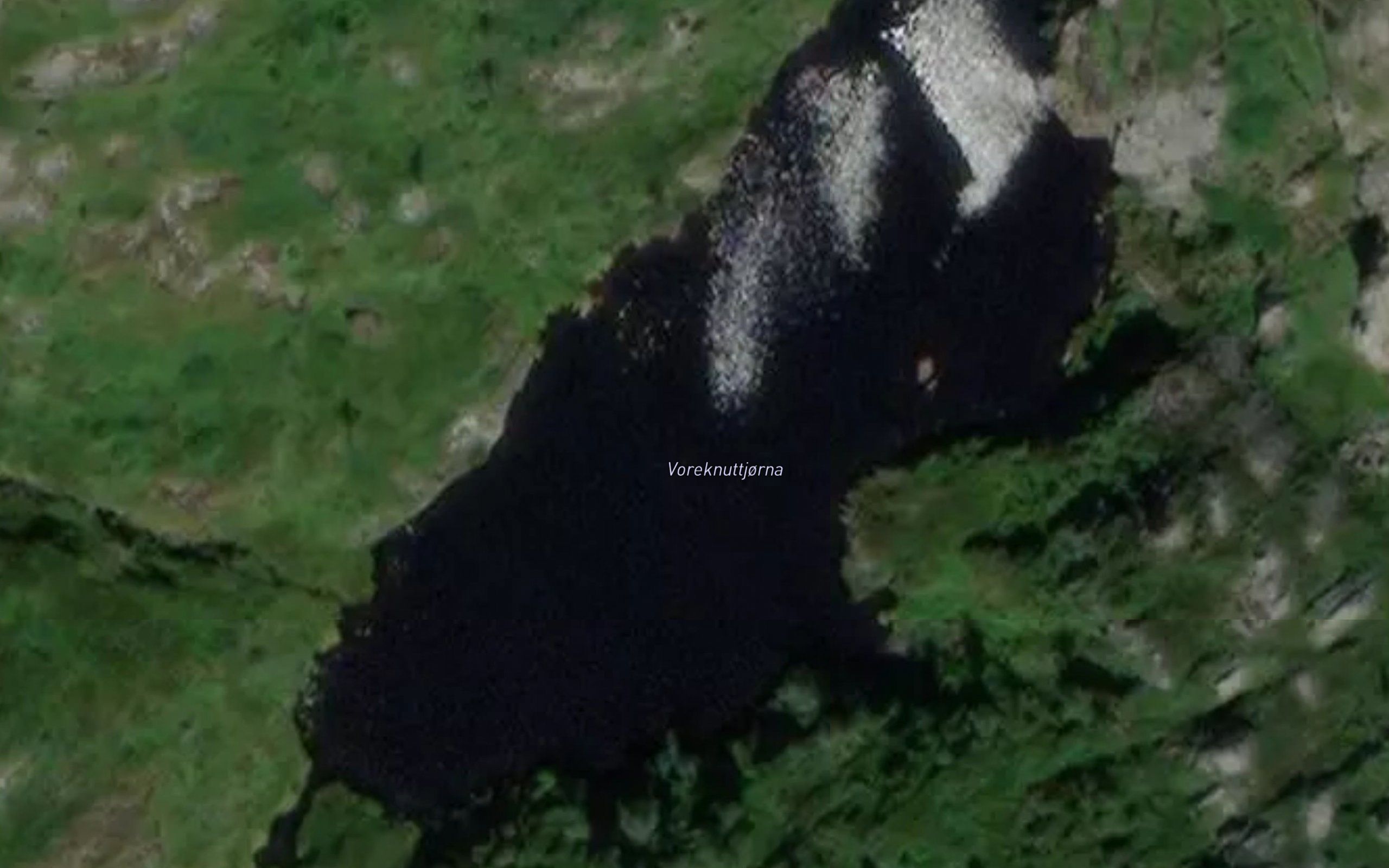 Voreknuttjorna