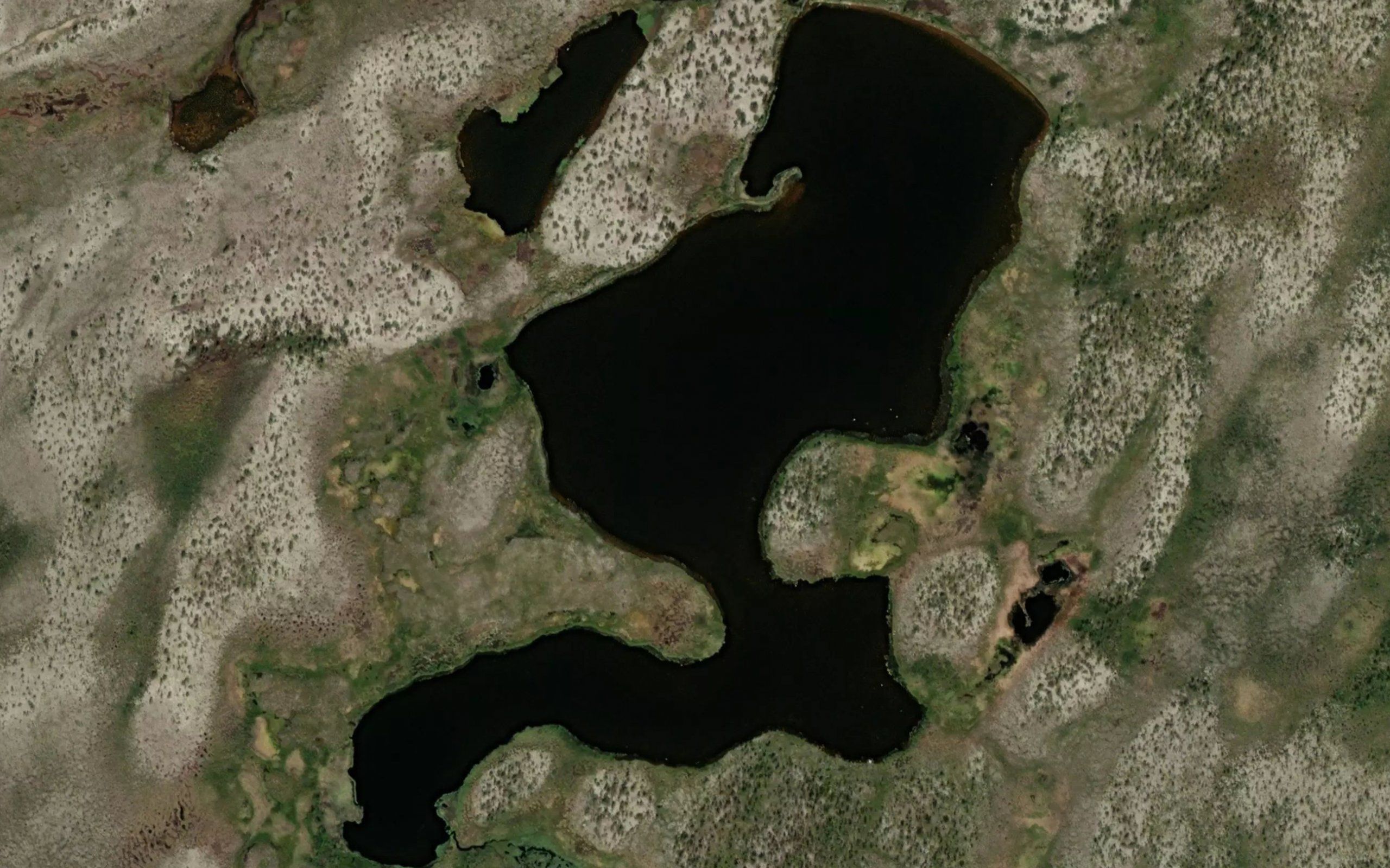 Suodnjujavri