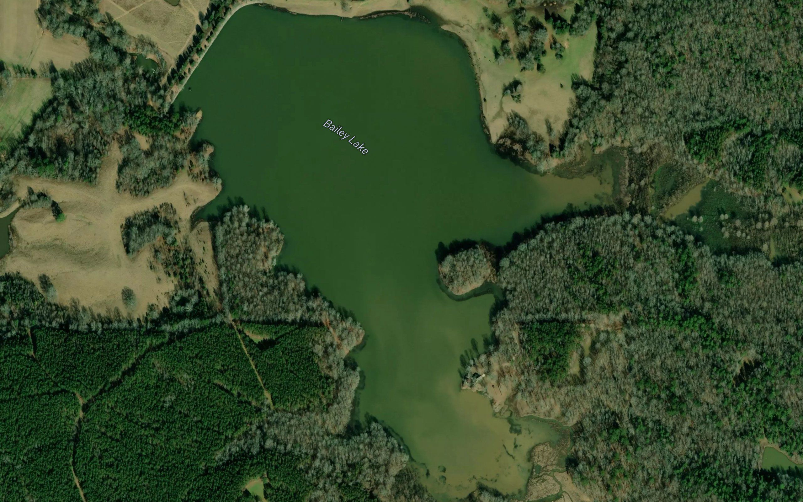 Bailey Lake