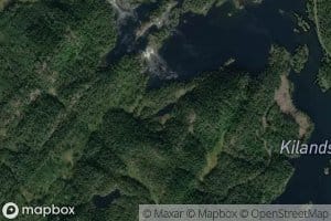 Elvemyrtjenn