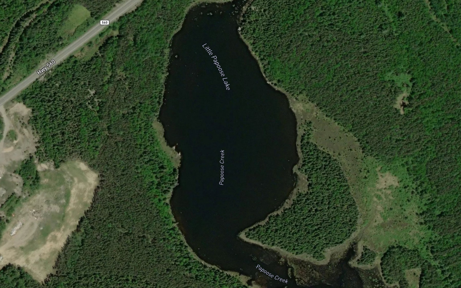 Satellite map of the Little Papoose Lake