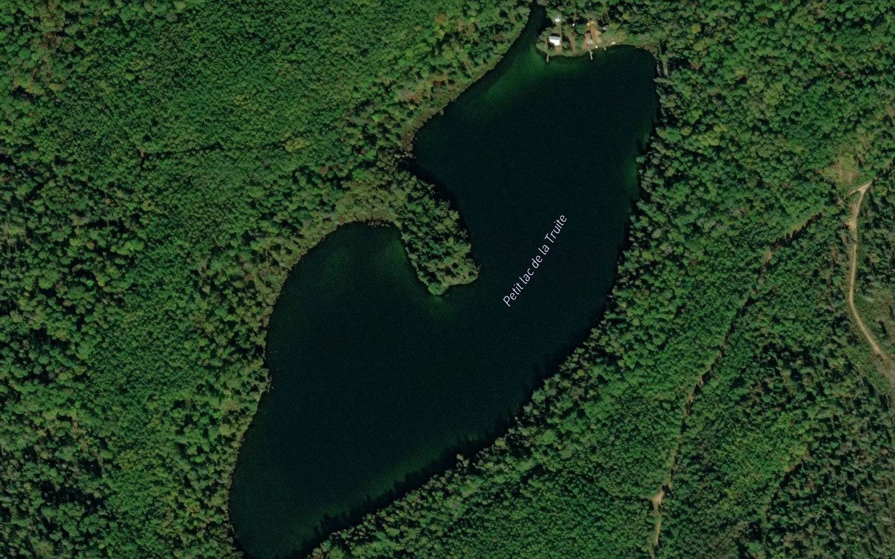 Satellite map of the Petit lac de la Truite