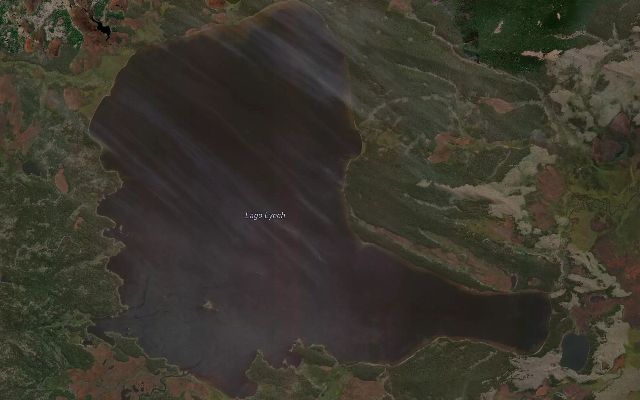 Lago Lynch