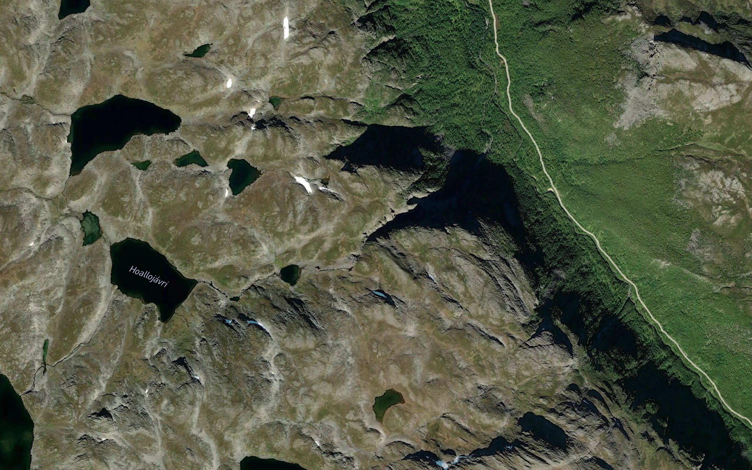 Hoallujakka