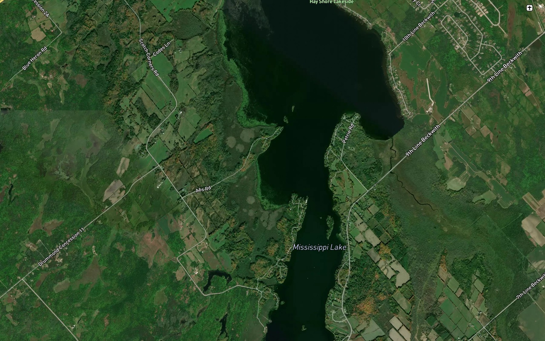 Satellite map of the Kings Bay