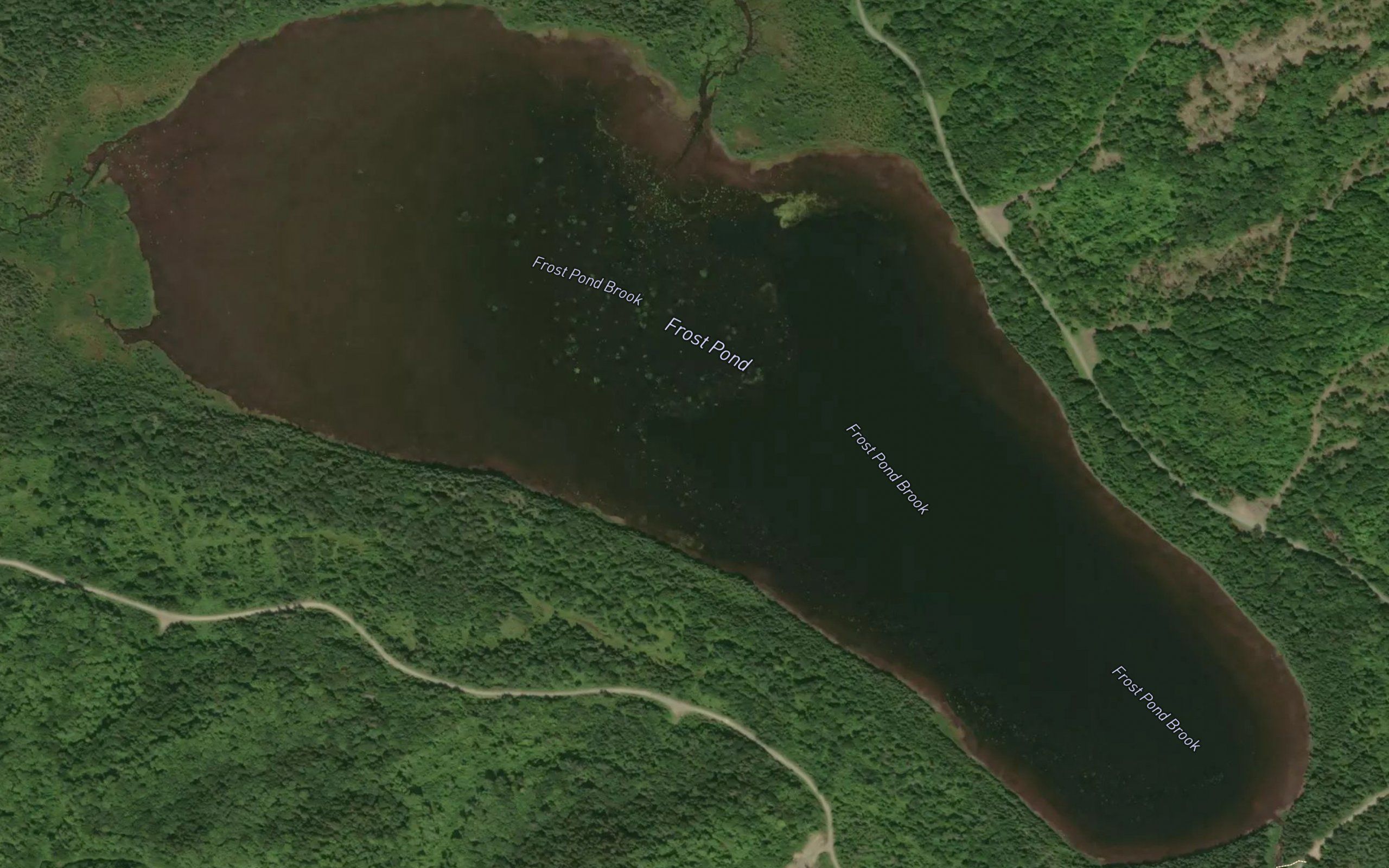 Frost Pond Brook