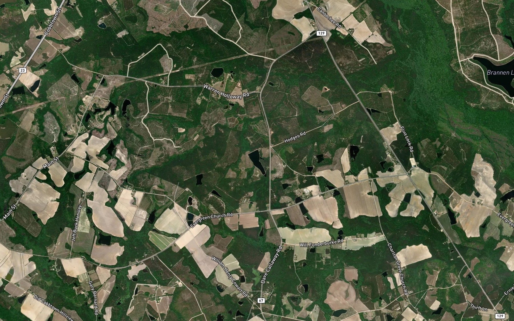 Satellite map of the Glisson Lake