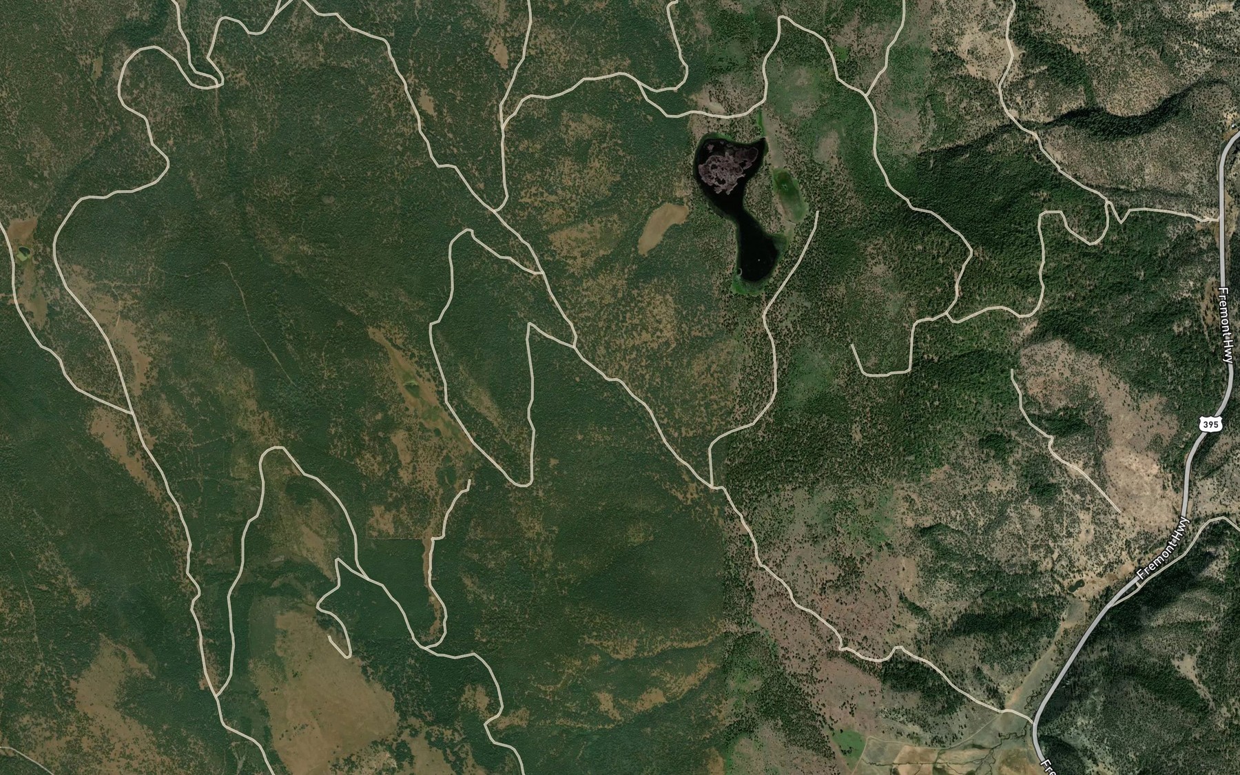Satellite map of the Dicks Spring