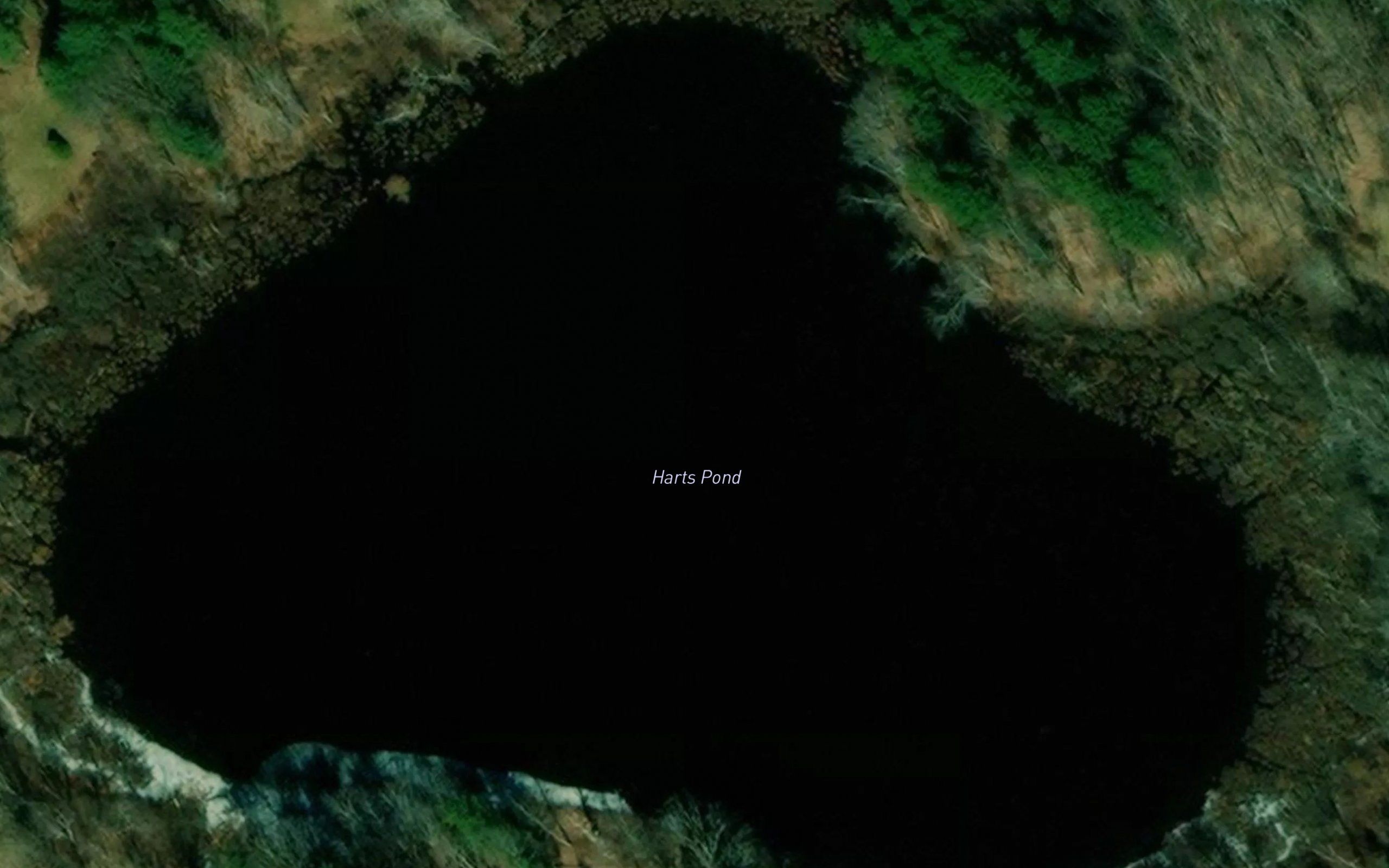 Harts Pond