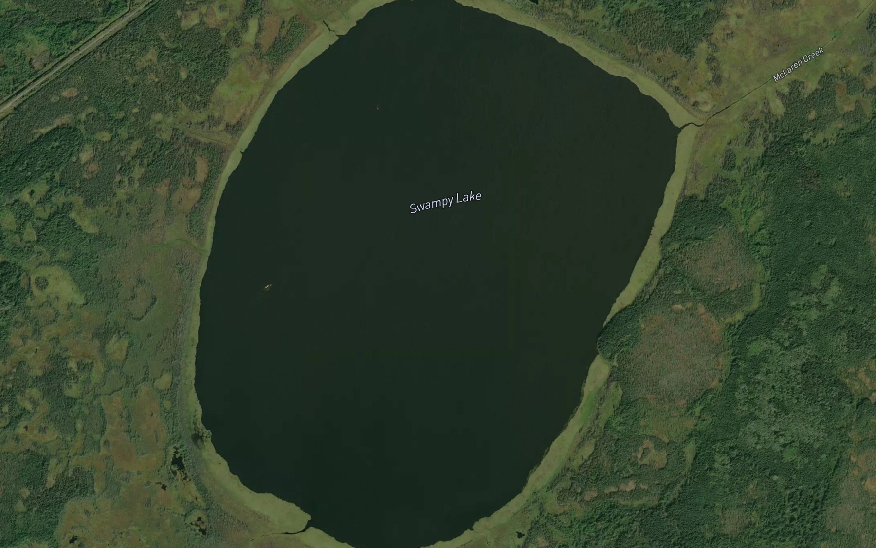 Satellite map of the Swampy Lake