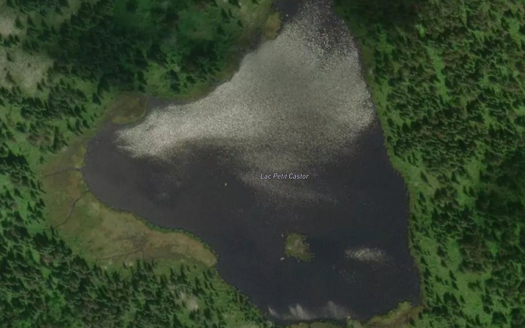 Satellite map of the Lac Petit Castor