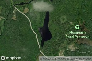 Musquash Pond