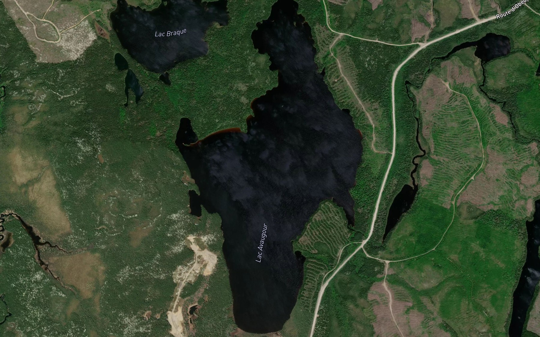 Satellite map of the Lac Avaugour