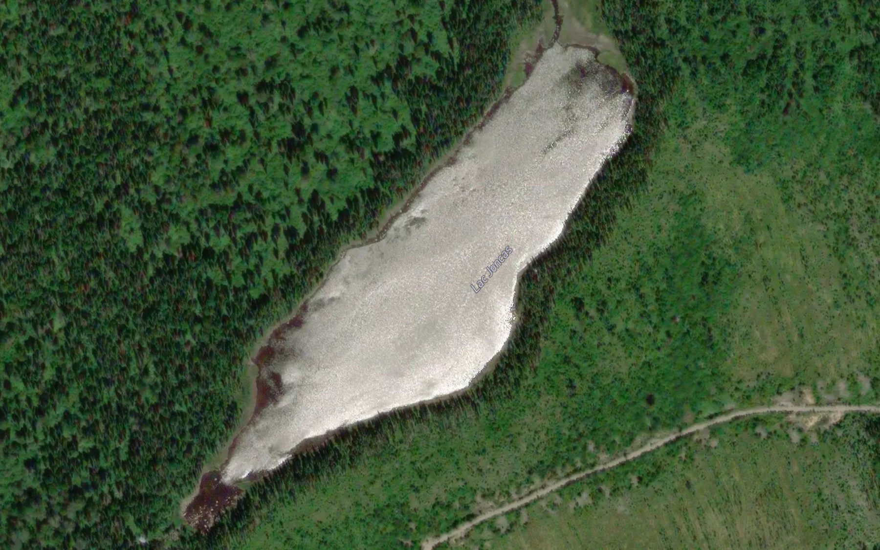 Satellite map of the Lac Joncas