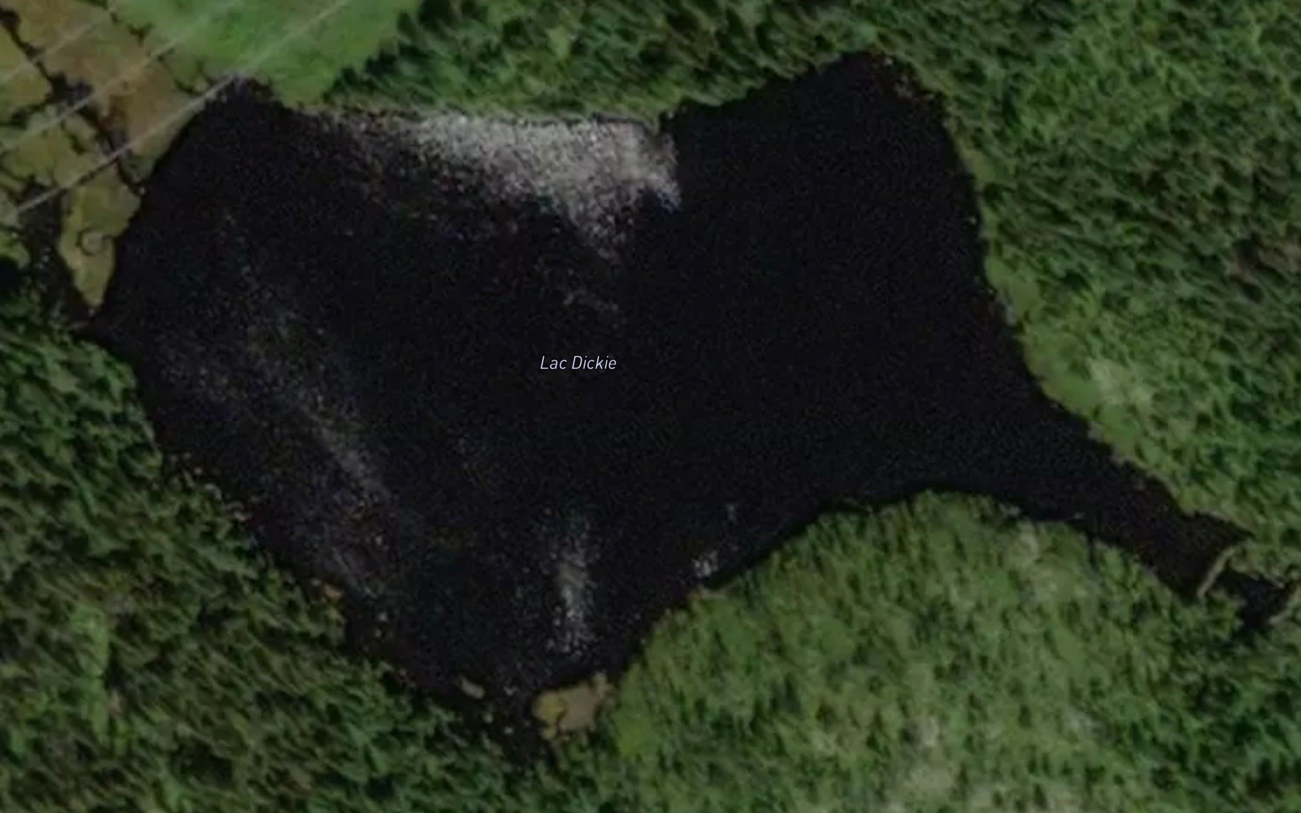 Lac Dickie