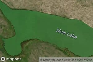 Mule Lake