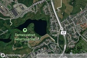 Tornesvatnet