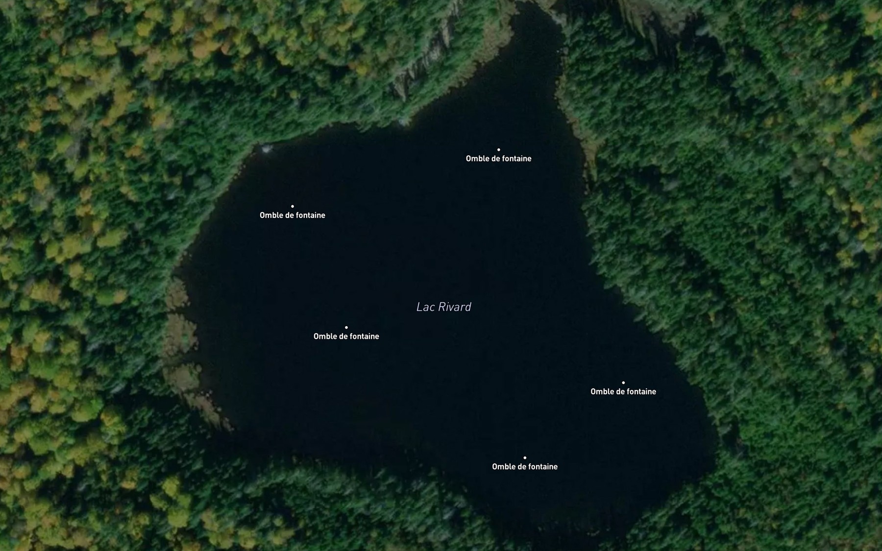 Satellite map of the Lac Rivard
