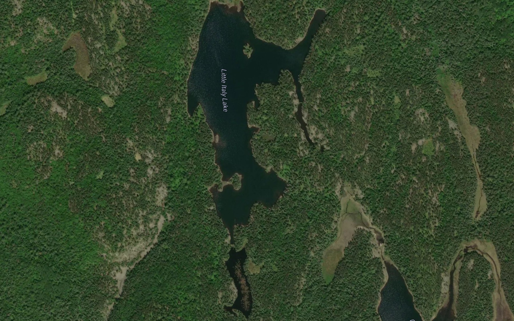 Satellite map of the Little Italy Lake