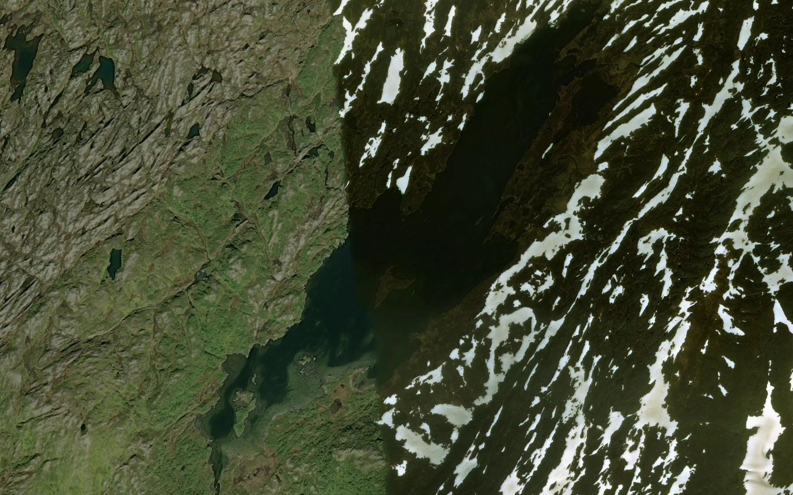 Fjellskjaekra