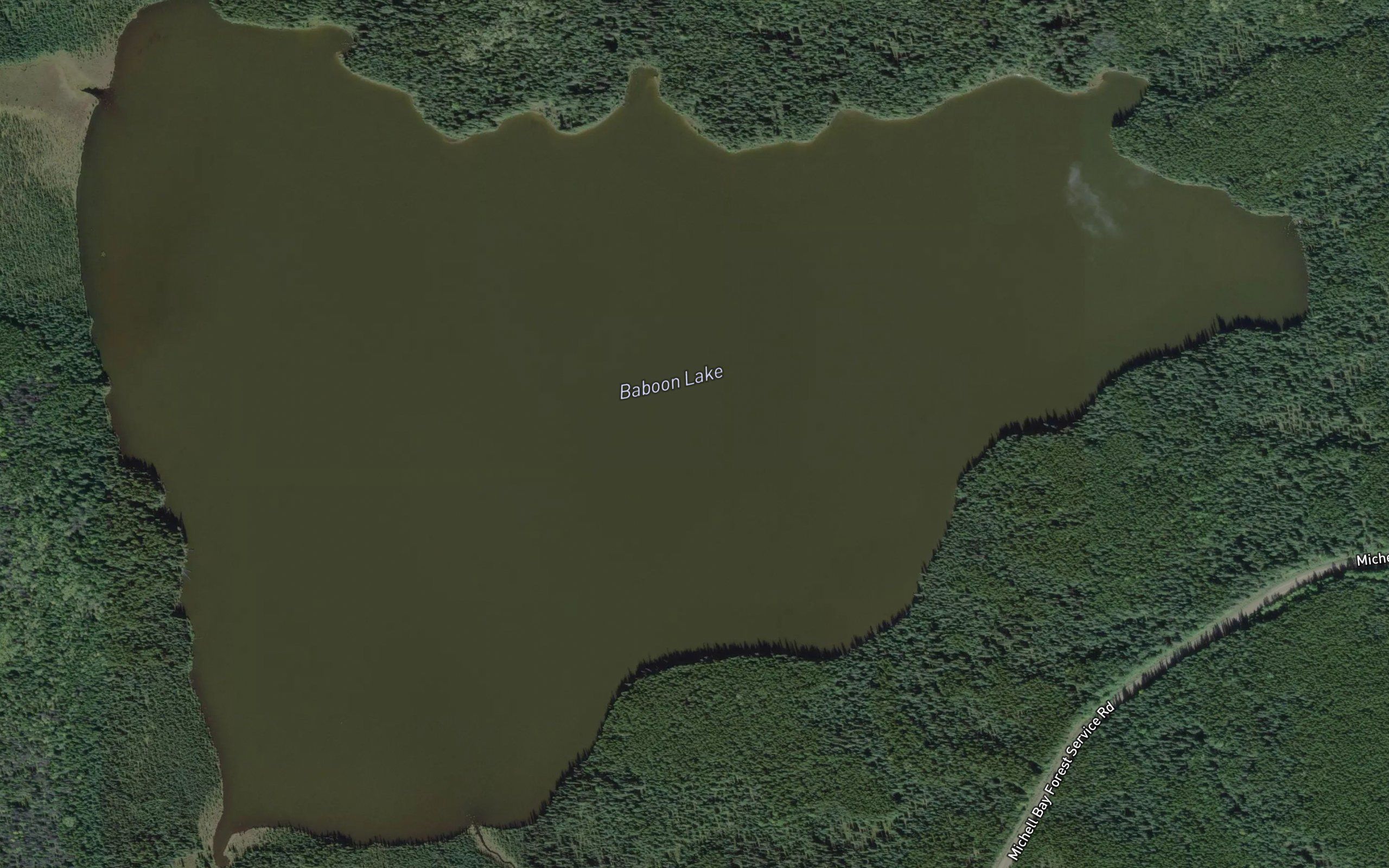 Baboon Lake