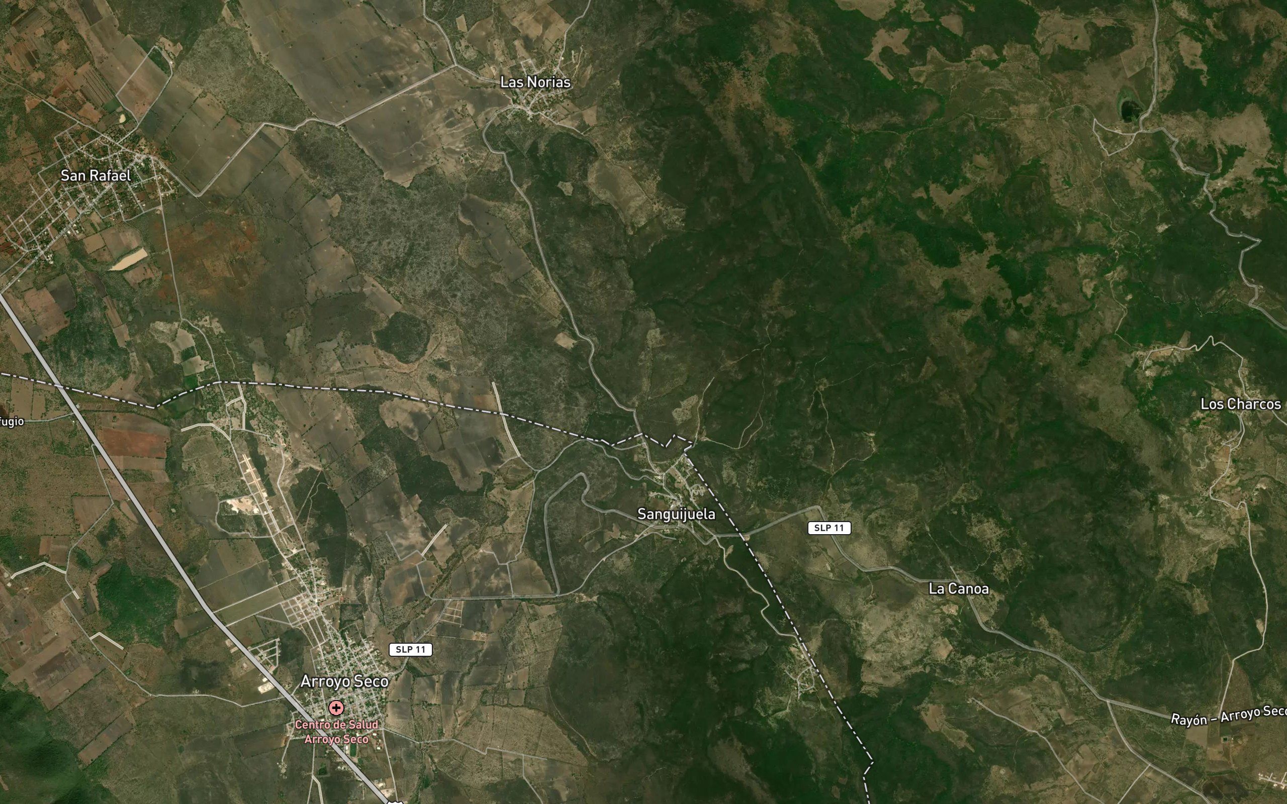 Sanguijuela