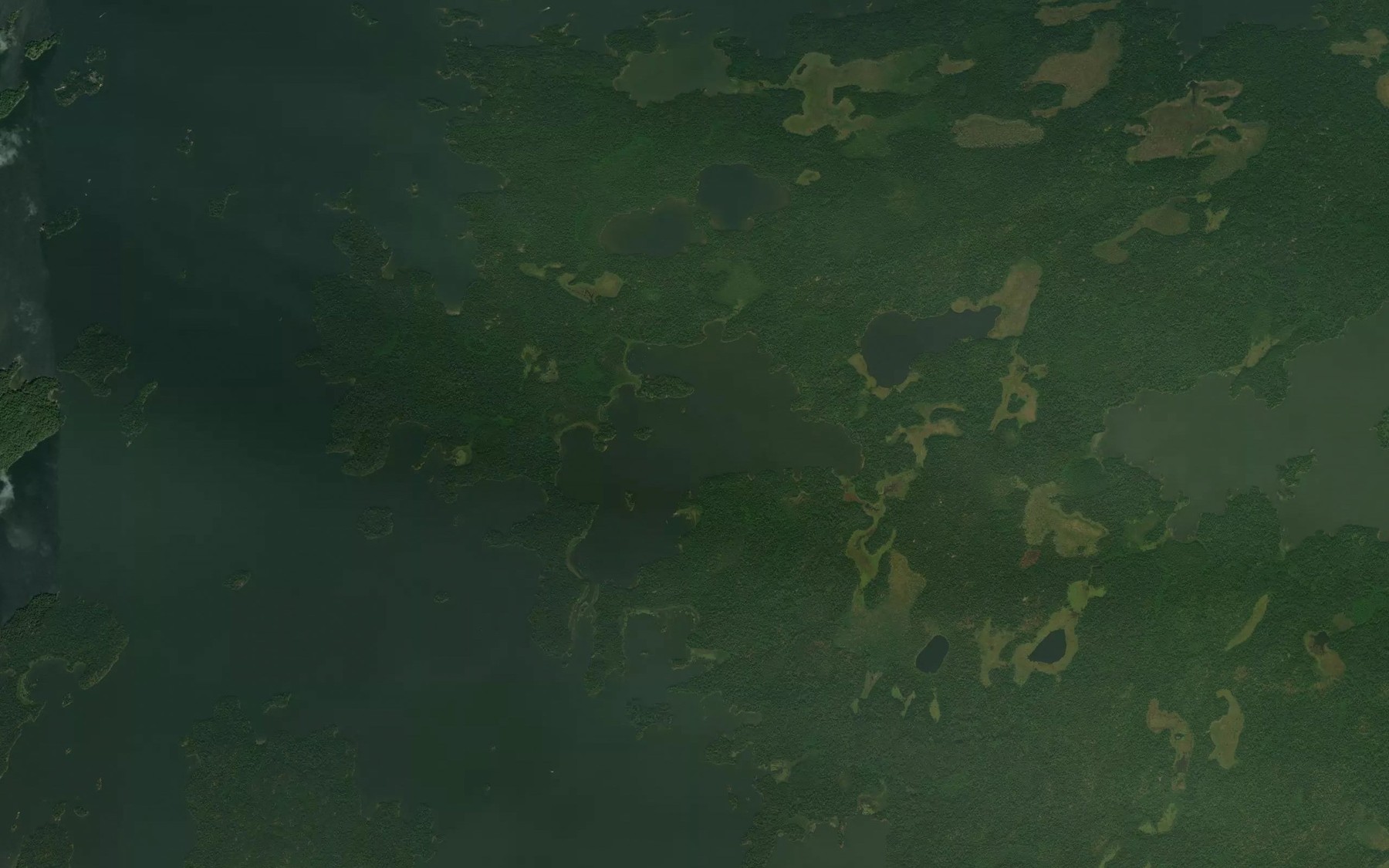 Satellite map of the Camp 6 Bay