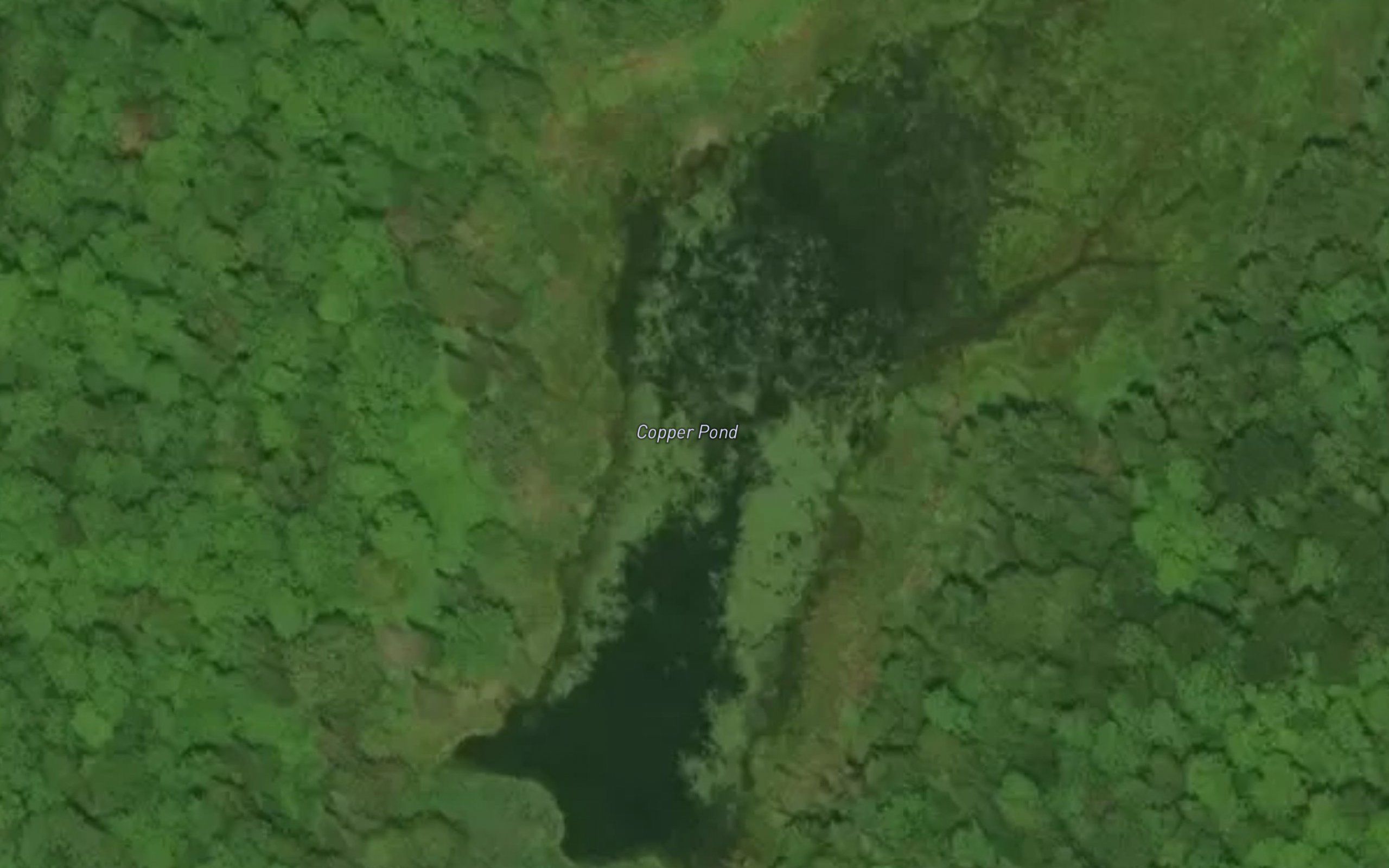 Copper Pond
