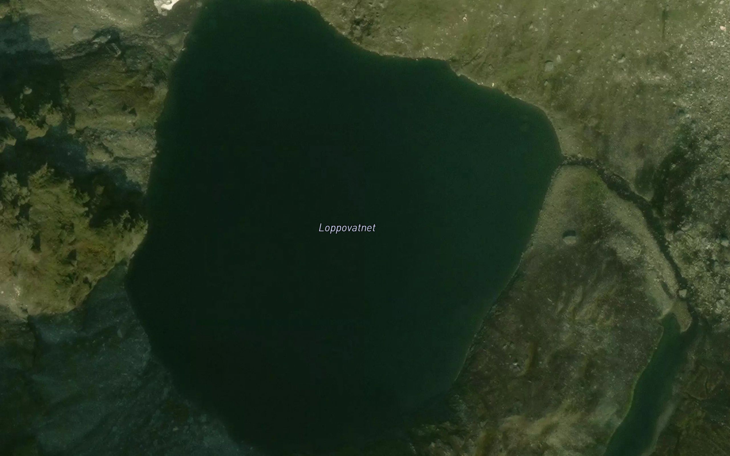 Loppovatnet