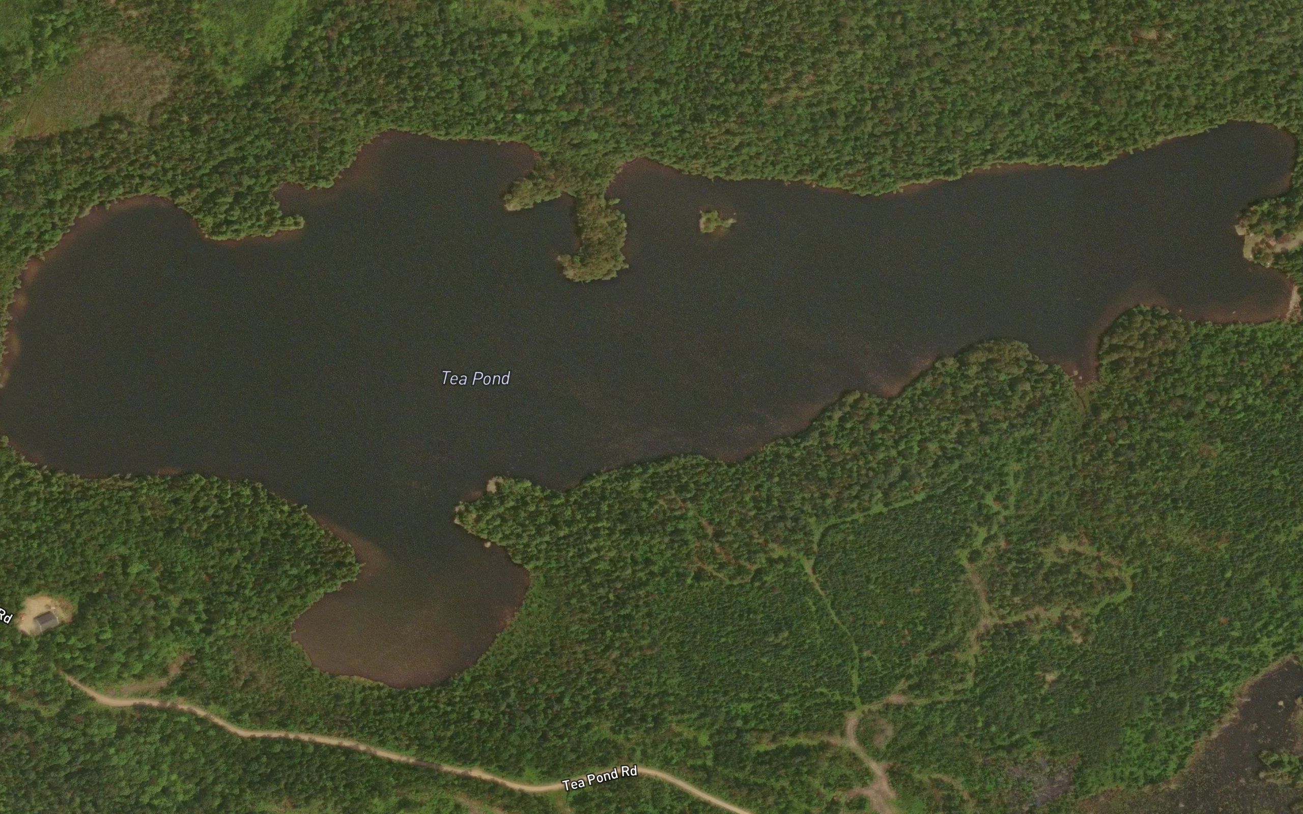 Tea Pond