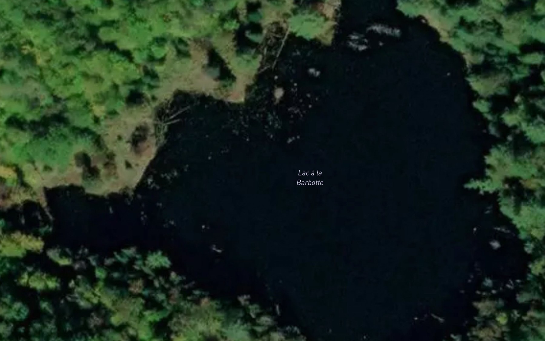Satellite map of the Lac a la Barbotte