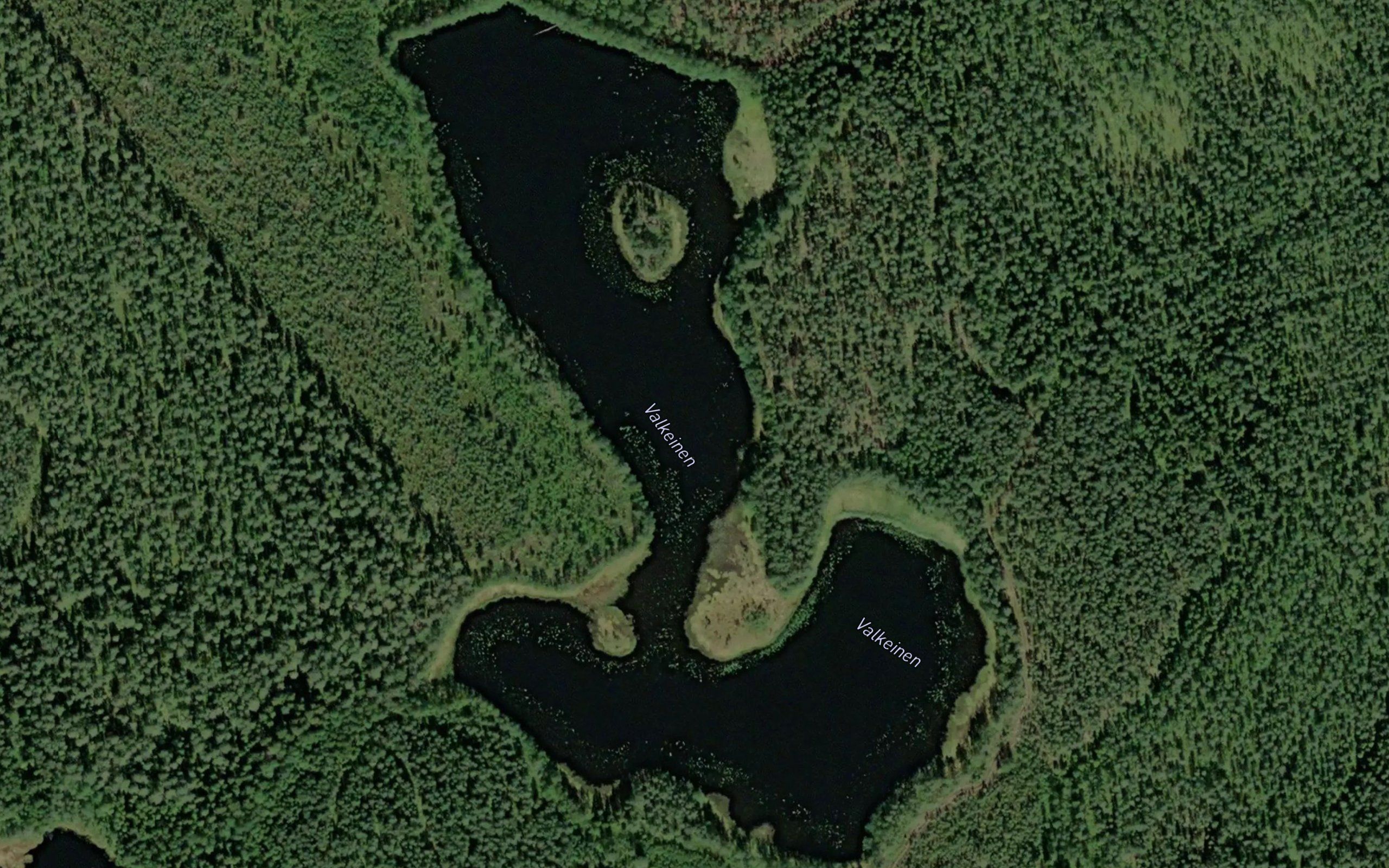 Valkeinen