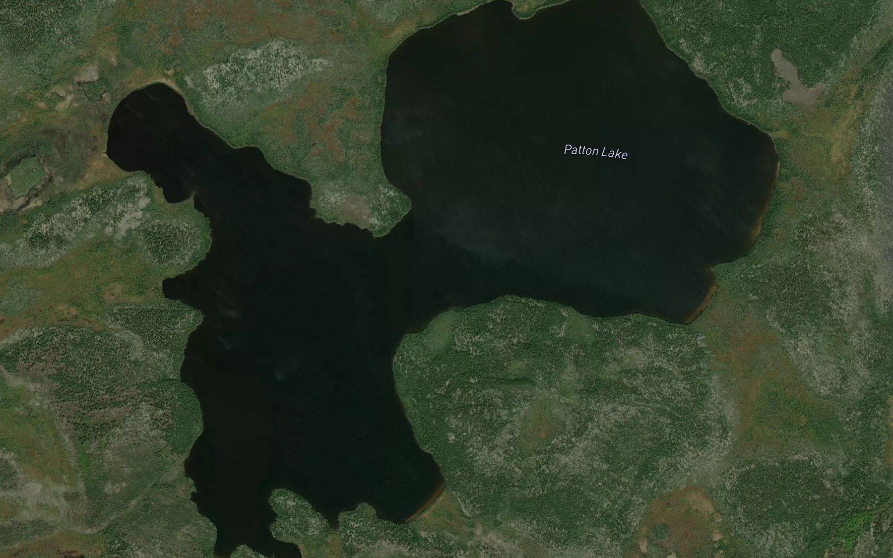 Satellite map of the Patton Lake