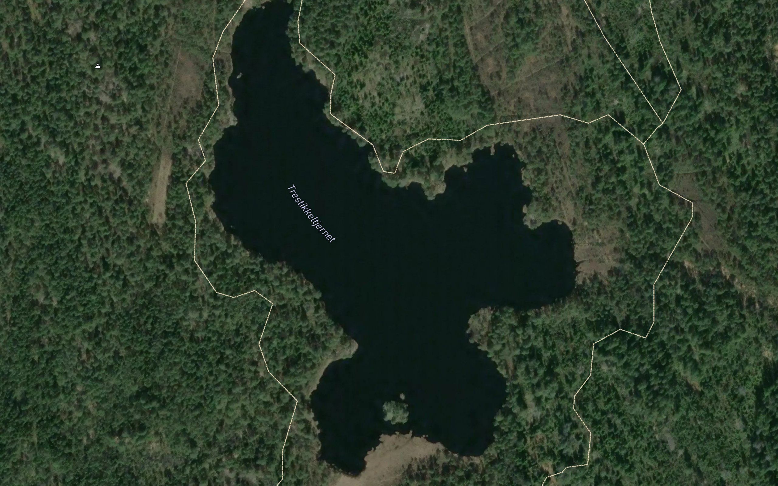 Trestikkeltjernet