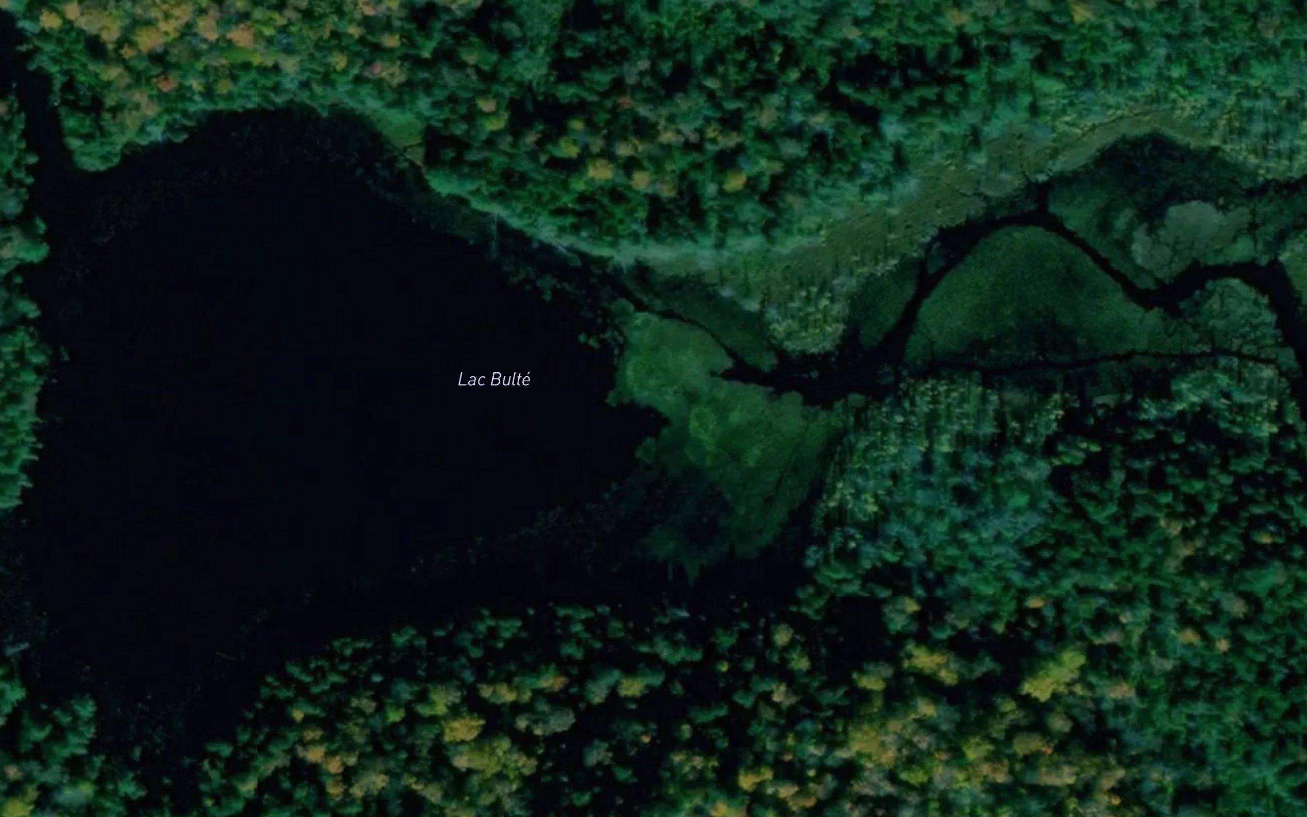 Lac Bulte