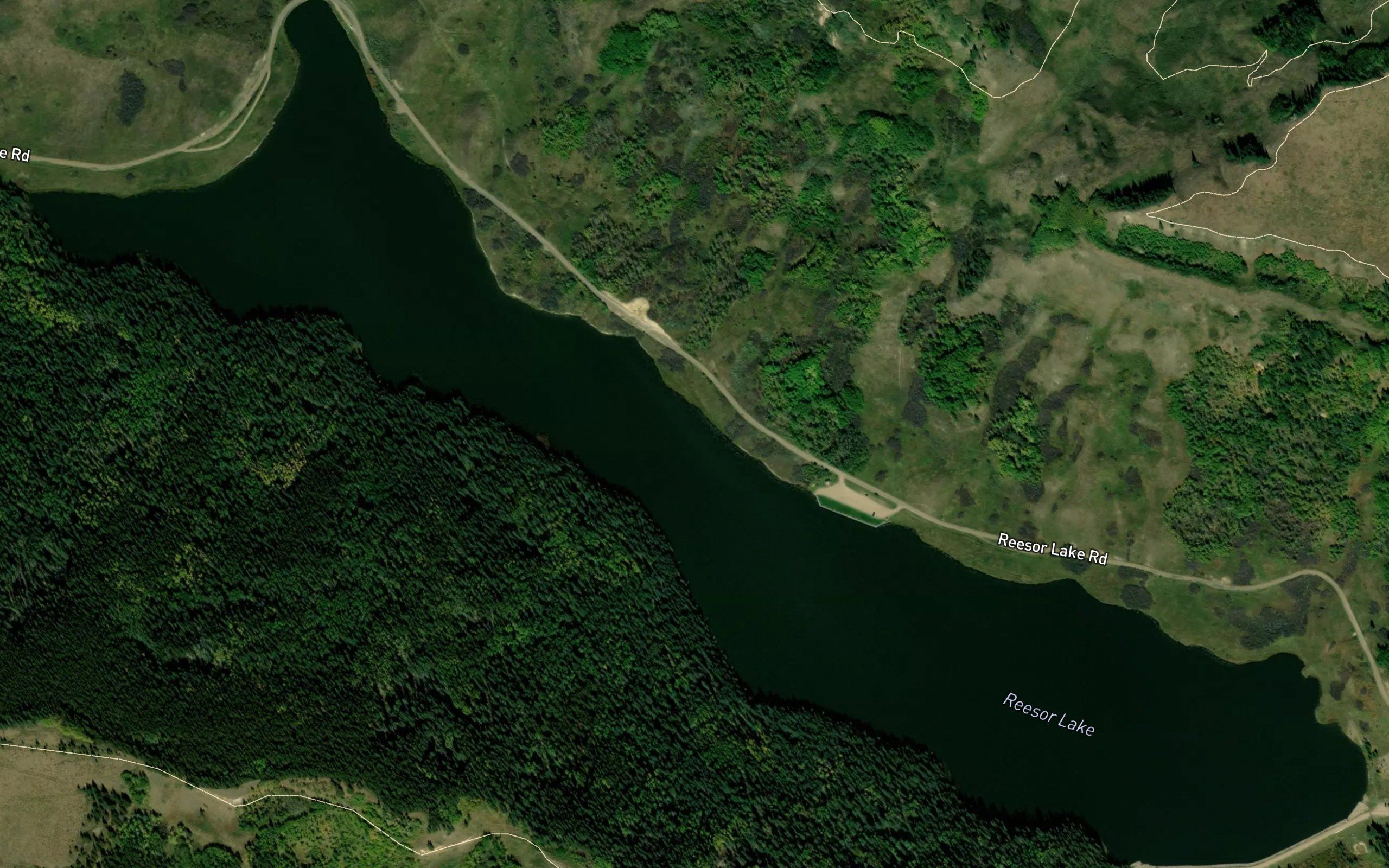 Reesor Lake
