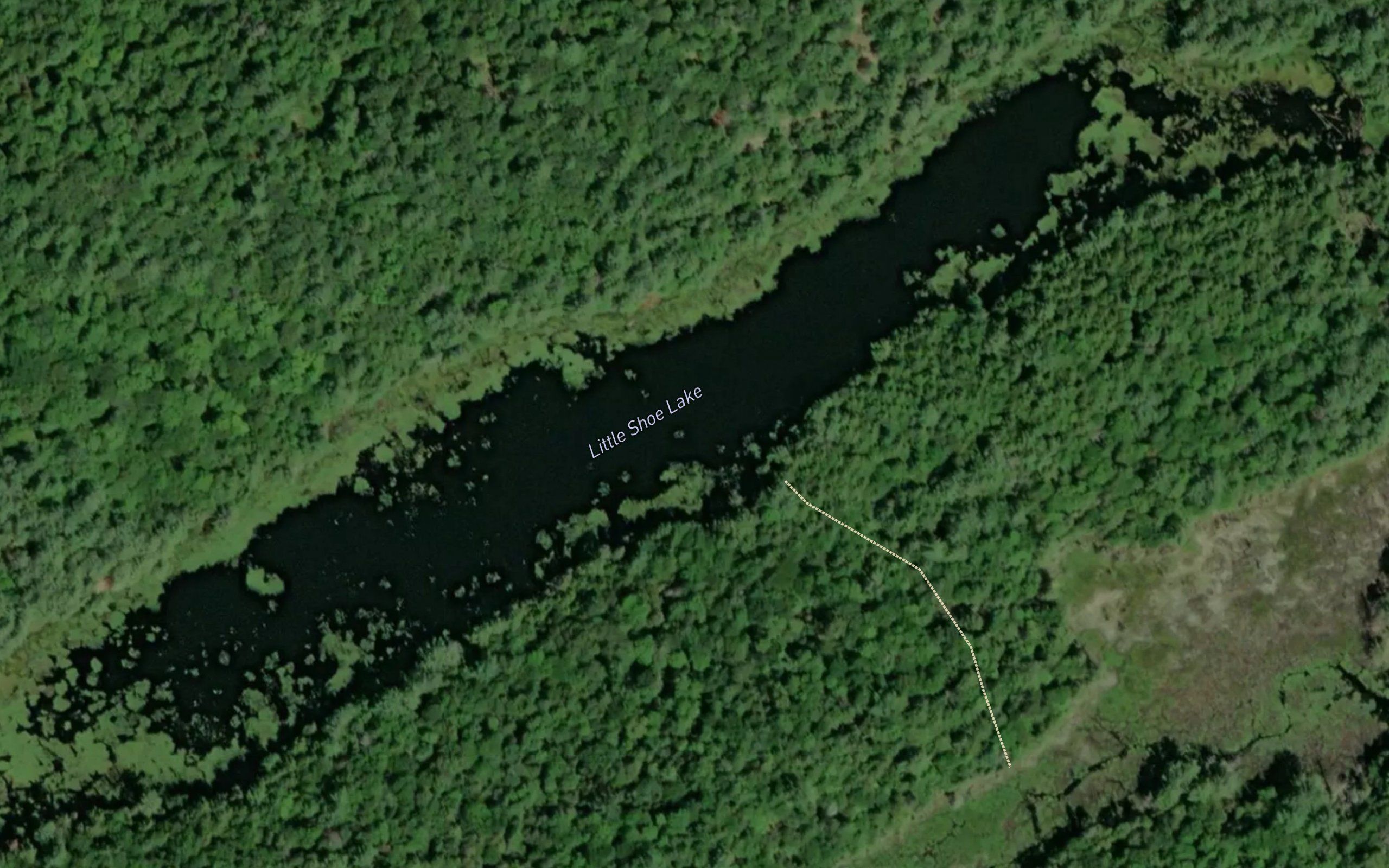 Little Shoe Lake