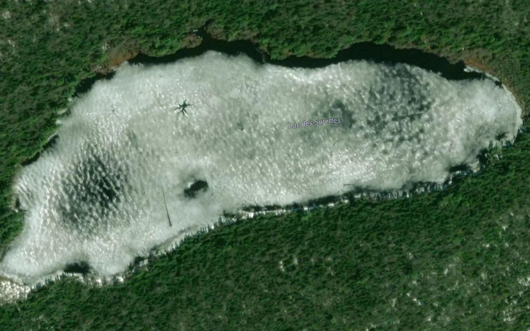 Satellite map of the Lac des Surettes