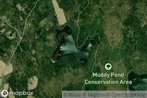 Muddy Pond