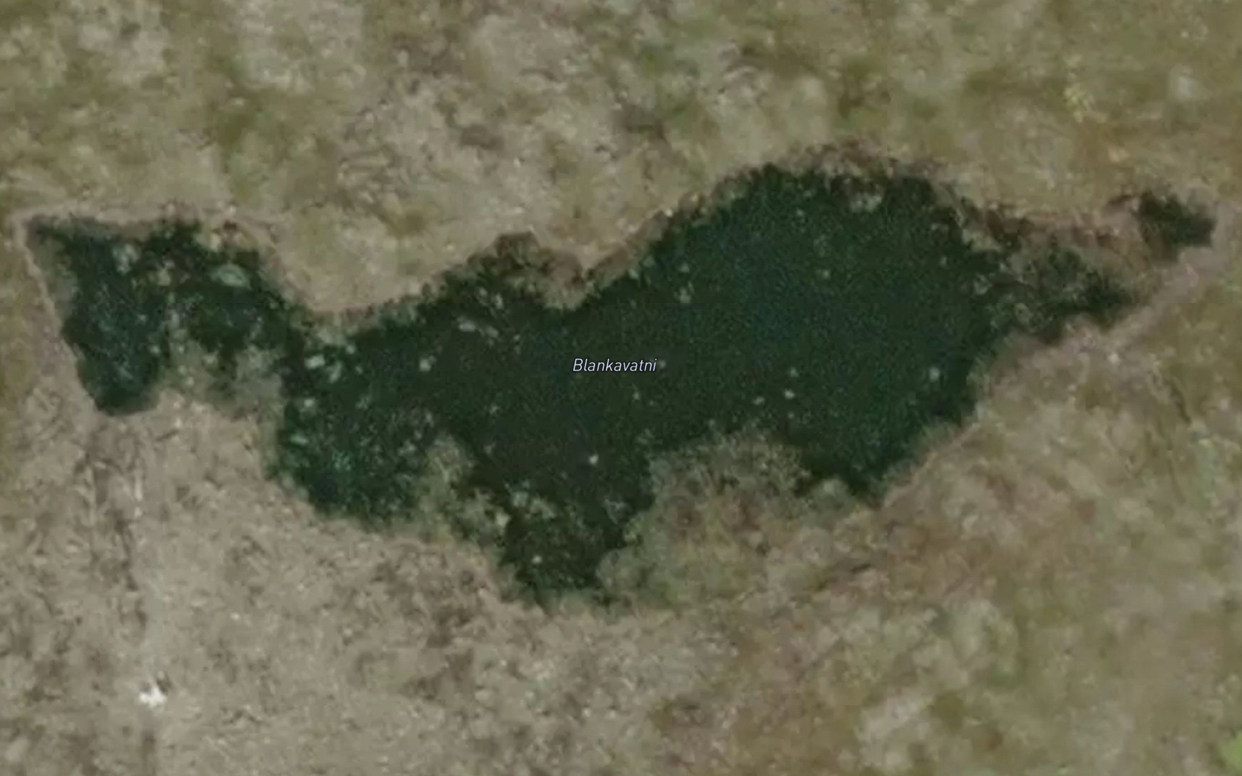 Blankavatnet