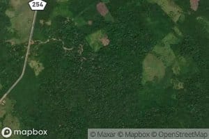 Igarape Rio Branquinho