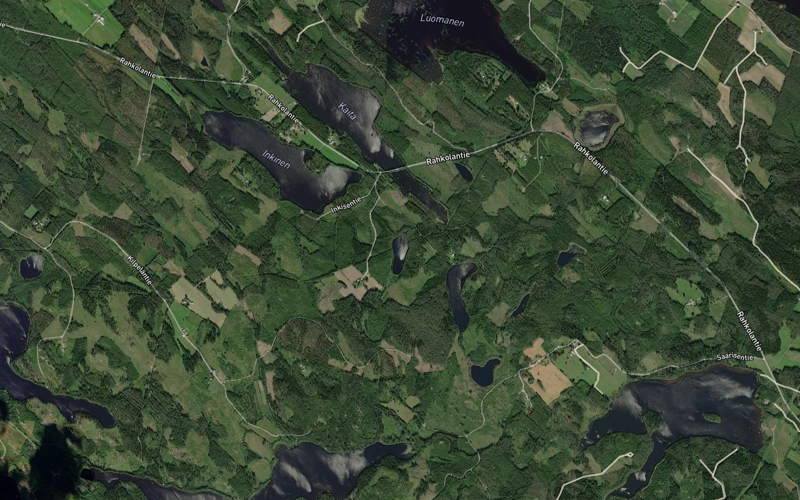 Haukilampi