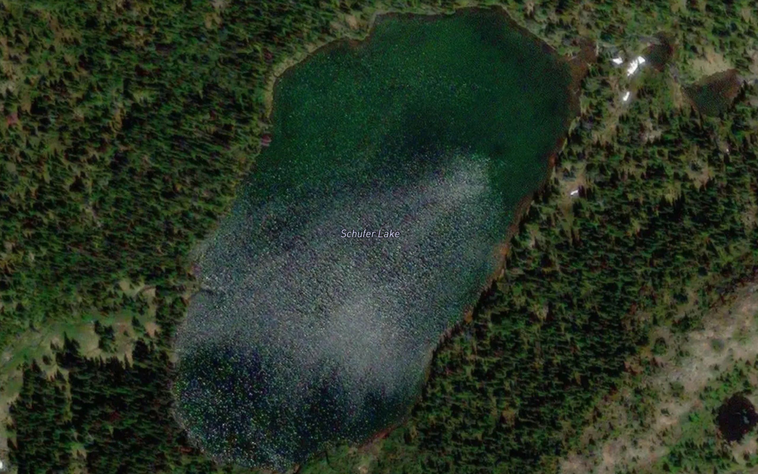 Schufer Lake