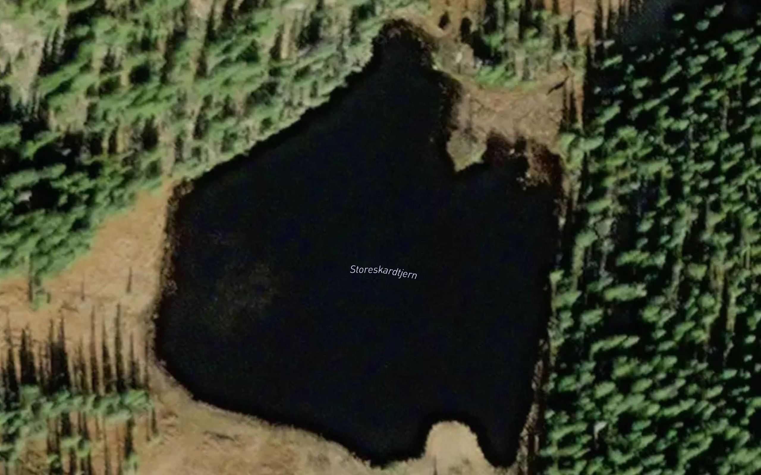 Storeskardtjernet
