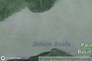 Estero Basin