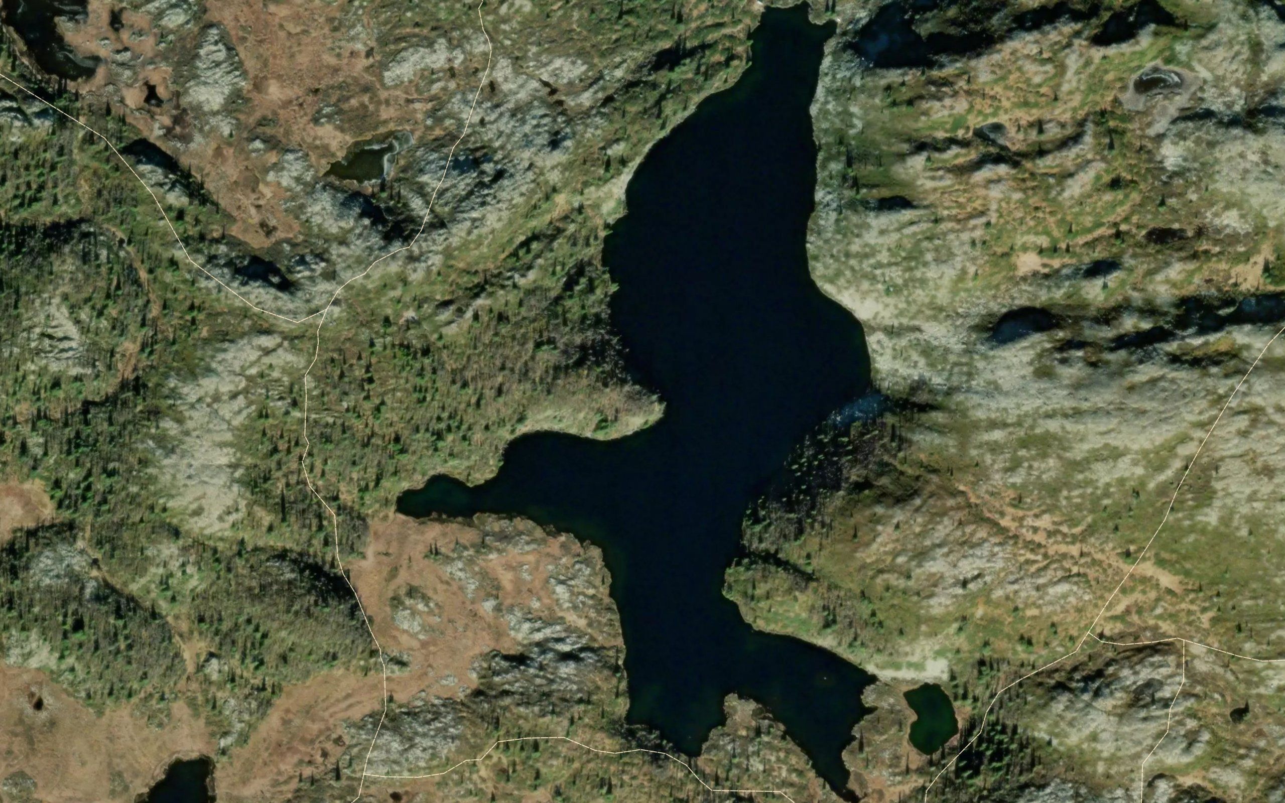 Ostre Kaelvetjednet